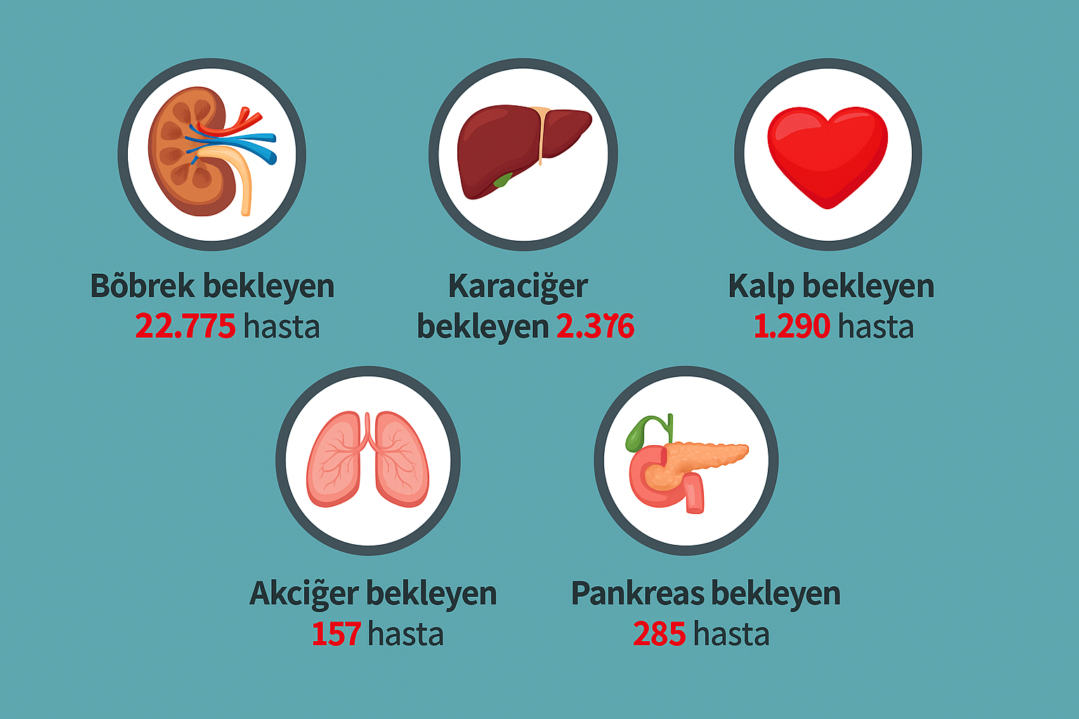 T.C. Sağlık Bakanlığı 2021 verilerine göre toplam 26894 kişi; Image